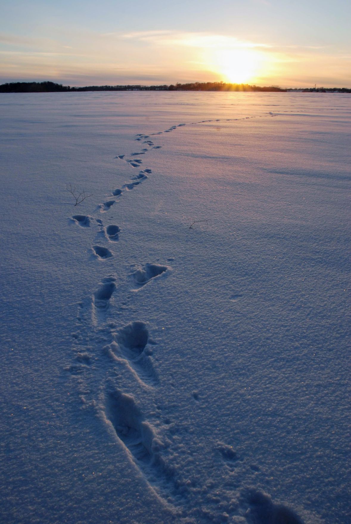 mindfulWalking (1).jpg